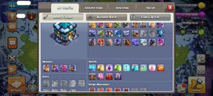 TH13 LeveL 166 King 64 Queen 75 Warden 50 Champion 12 - Quickgameshop