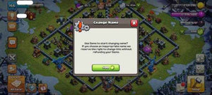 TH13 LeveL 166 King 64 Queen 75 Warden 50 Champion 12 - Quickgameshop